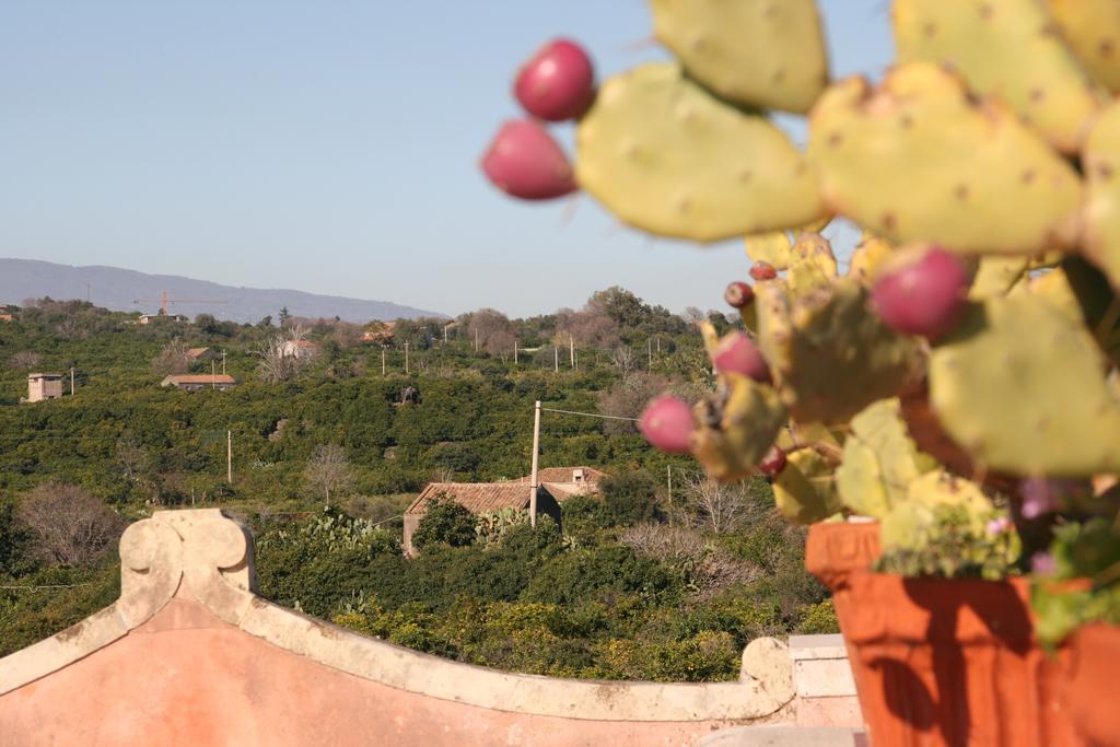 Villa Dei Leoni 圣特克拉 外观 照片