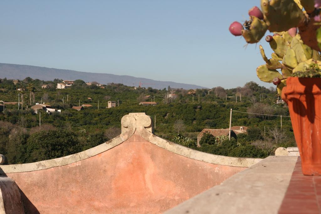 Villa Dei Leoni 圣特克拉 外观 照片