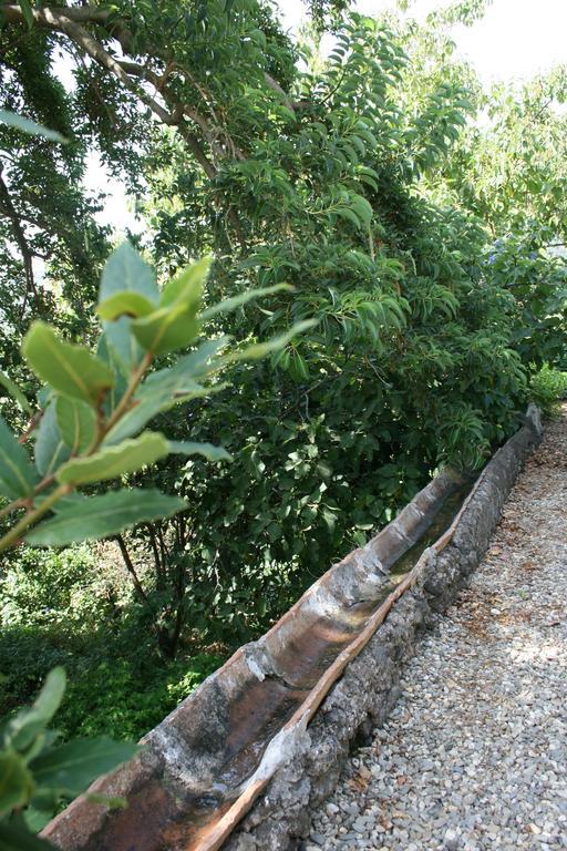 Villa Dei Leoni 圣特克拉 外观 照片