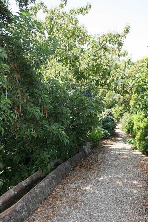 Villa Dei Leoni 圣特克拉 外观 照片
