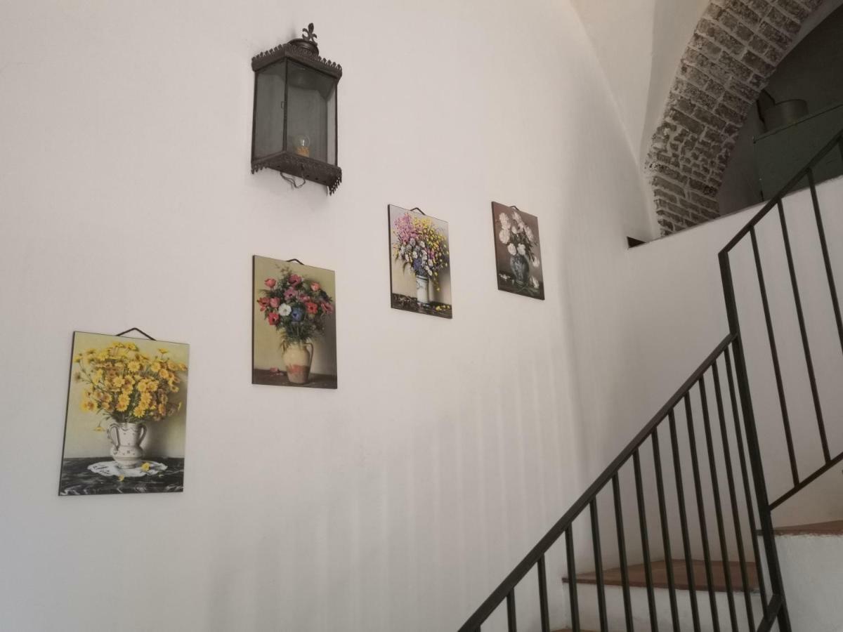 Villa Dei Leoni 圣特克拉 外观 照片